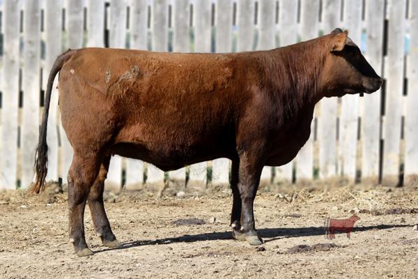 Lot 5A - SRR VCTORA JOAN 0187-6028