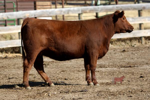 Lot 5B - SRR LARKABA 046-6012