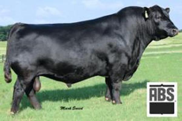 Garrett's Nationwide - Sire  of Lot 13 