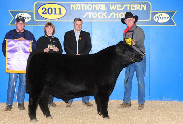 Bar J Beauford 9W12 - Service Sire for Lot 6