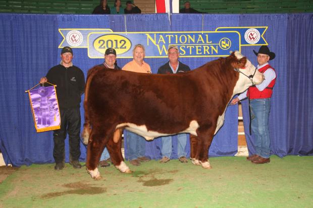 LCX He's A Truck 104 ET - Sire of Embryos