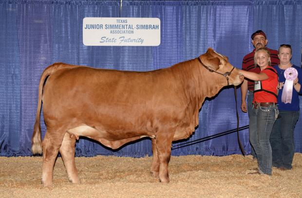 LMC Rhino Champion daughter - that just won $1,500 for Amelia Stavinoha and Reserve Grand at the $15,000 MAS Showdown