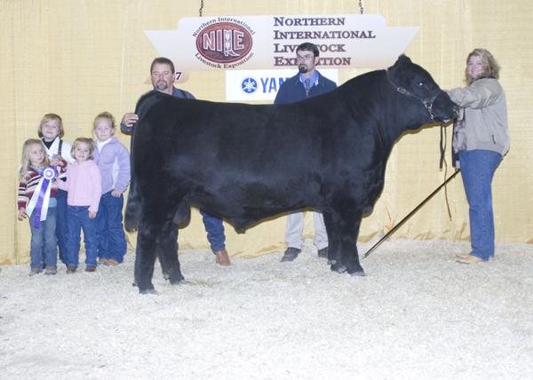 Paternal Brother to Lot 8 - NILE Supreme Champion