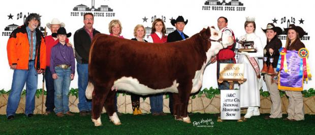 Purple RRO Ruby 41X - Showtime Daughter 