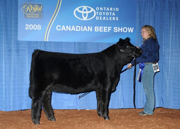 Maternal Sister to Lot 1