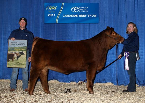 Full Sister to Lot 20D