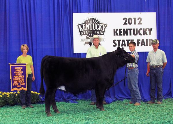 Same Cow Family as Lot 12