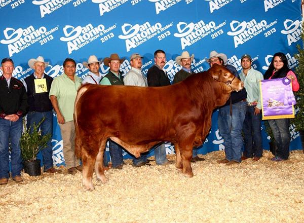 The 2013 National Champion LMC Gold Medal is his most popular son.