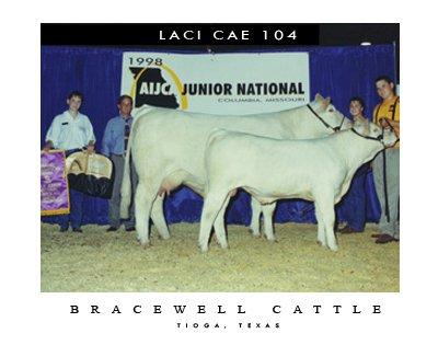 GRANDMOTHER - LC MISS LACI CAE 104
