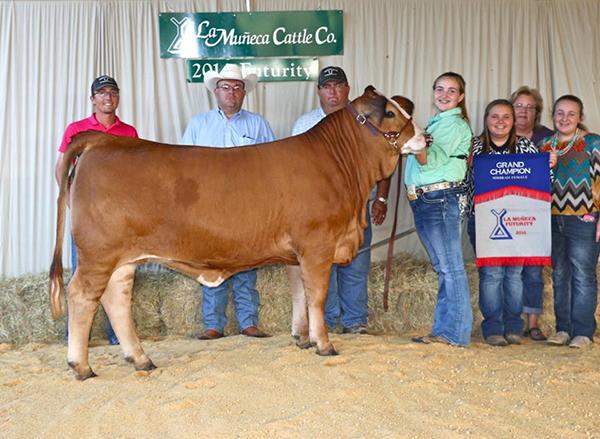 Champion dam that sells as Lot 14.