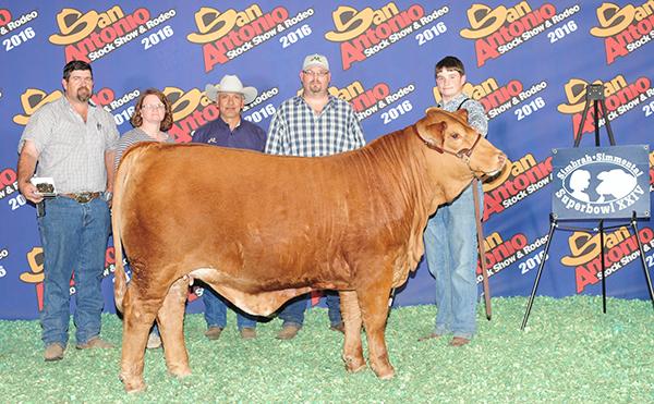 730 Cow Family heifer – J7N Dinela 