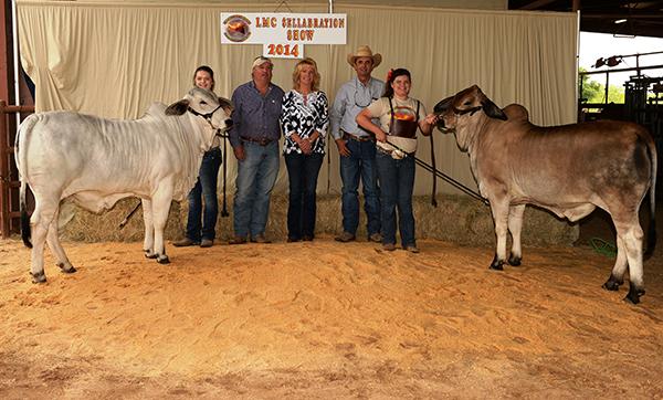 More champion daughters bred by England Catttle Co.