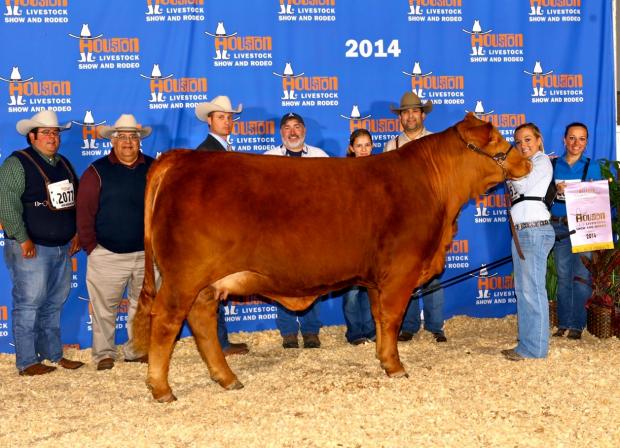 Dam - many times Champion LMC BBS Jenna