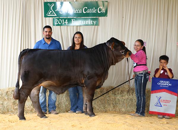 Champion Braveheart daughter owned with Natalie Martinez