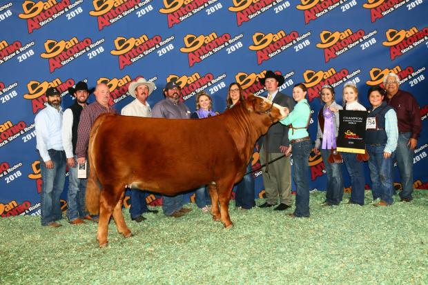 Paternal sister & many times champion for Makenzie Groce. Won Dallas, FW, SA ($10,000) & RGV