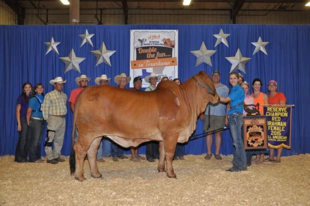 Dam - MS CHAPARRAL 114