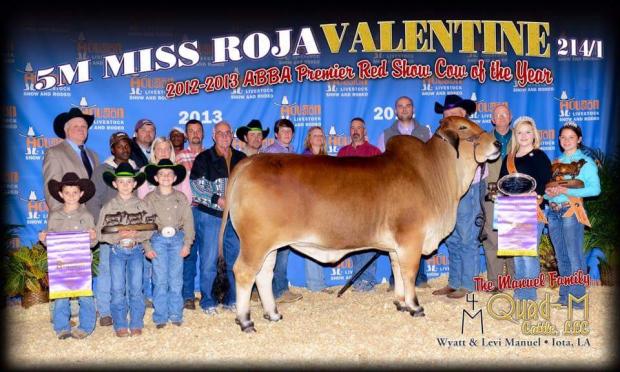 Dam - 5M Miss Roja Valentine 518/4