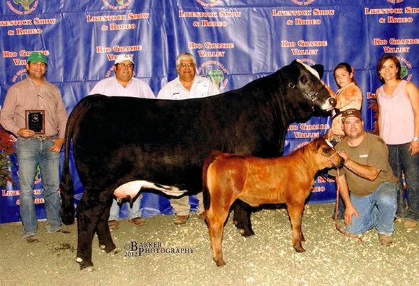 LMC WFC RAINBOW-Dam of lot 3