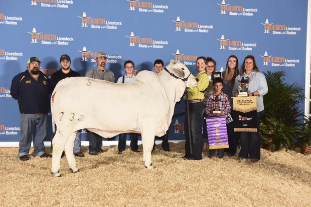 Daughter: Miss SNS Hensley 732/5 – Houston Junior Show Grand Champion