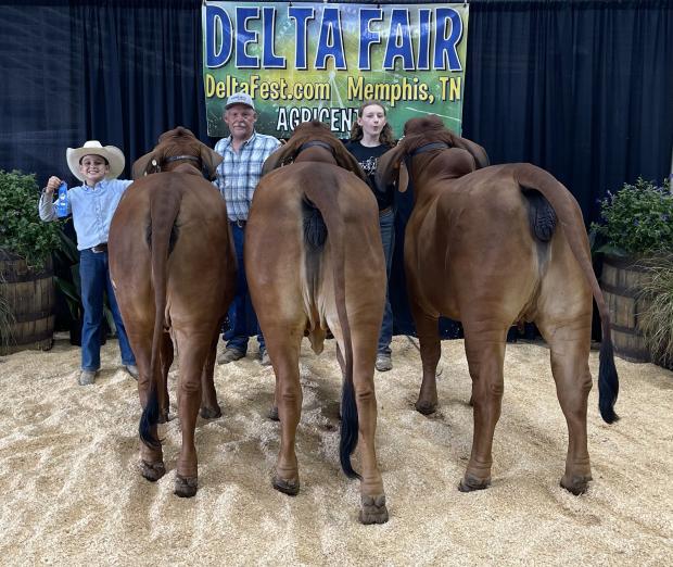 Full Siblings winning Breeders Genetic Group