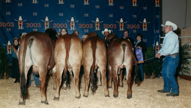 Champrion Get of Sire by Lot 18