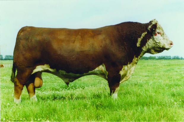 Sire - REMITALL KEYNOTE 20X